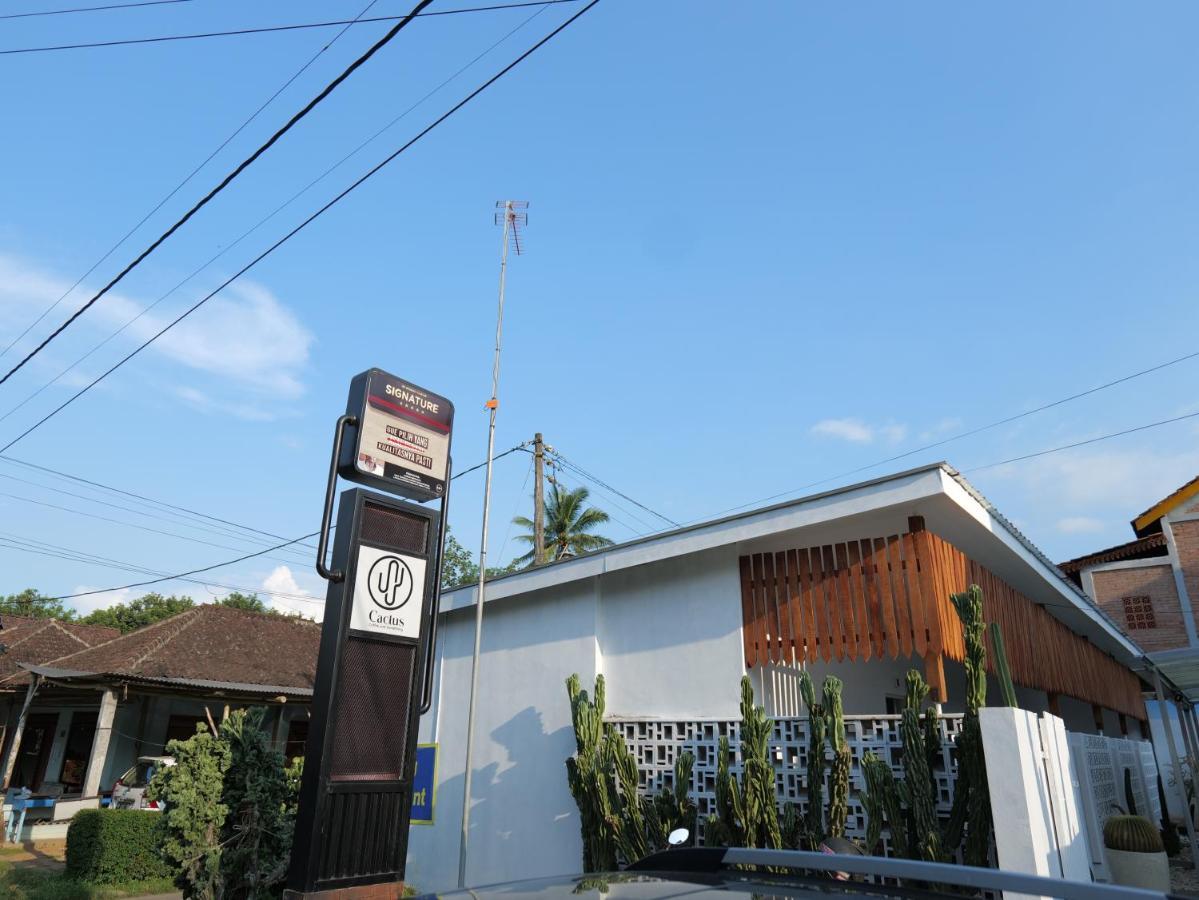 Cactus Guest House Borobudur Magelang Εξωτερικό φωτογραφία